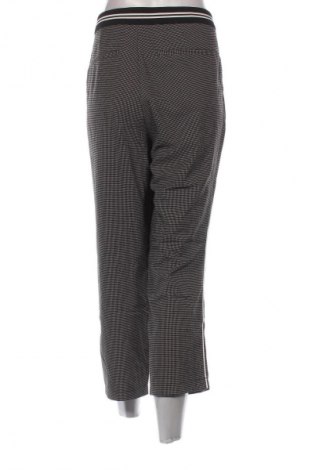 Damenhose Comma,, Größe XL, Farbe Mehrfarbig, Preis € 39,99