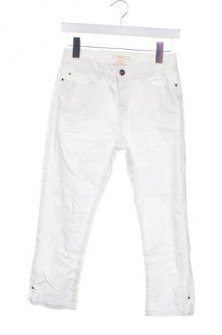 Damenhose Esprit, Größe XS, Farbe Weiß, Preis € 10,99