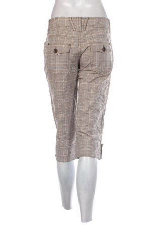 Damenhose Esprit de Corp, Größe M, Farbe Mehrfarbig, Preis € 28,99
