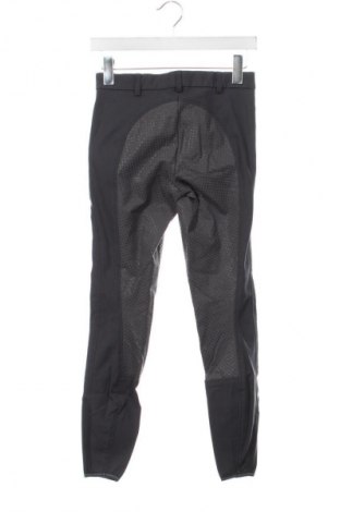 Pantaloni de femei Pikeur, Mărime XS, Culoare Gri, Preț 163,16 Lei