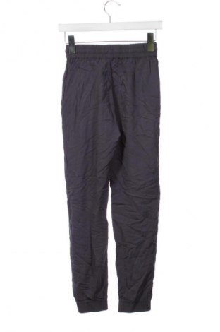 Damenhose Terranova, Größe XS, Farbe Grau, Preis 12,99 €