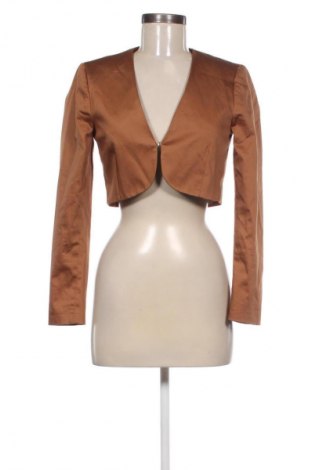Damen Blazer XT Studio, Größe S, Farbe Braun, Preis 55,75 €