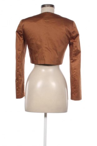 Damen Blazer XT Studio, Größe S, Farbe Braun, Preis 55,75 €