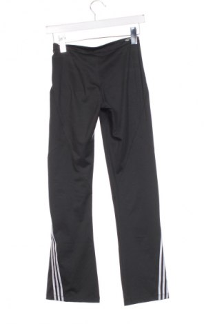 Dámske tepláky Adidas, Veľkosť XS, Farba Sivá, Cena  23,95 €