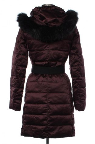 Damenjacke Esprit, Größe S, Farbe Rot, Preis 61,99 €