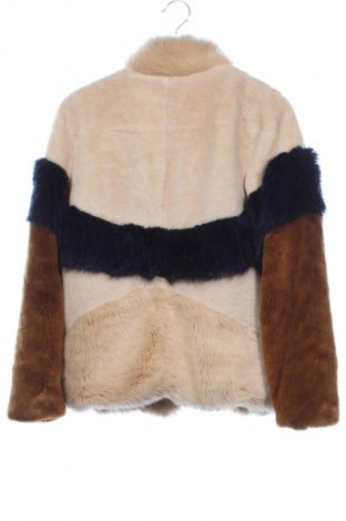 Damenjacke Zara Trafaluc, Größe XS, Farbe Mehrfarbig, Preis € 28,99