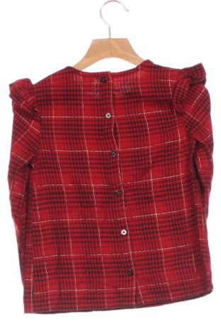 Detská blúzka  LCW, Veľkosť 4-5y/ 110-116 cm, Farba Viacfarebná, Cena  5,83 €