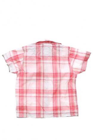 Kinderhemd Early Days, Größe 12-18m/ 80-86 cm, Farbe Mehrfarbig, Preis 4,99 €