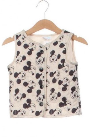 Detská vesta  Disney, Veľkosť 6-9m/ 68-74 cm, Farba Viacfarebná, Cena  7,95 €