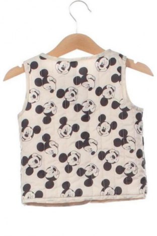 Detská vesta  Disney, Veľkosť 6-9m/ 68-74 cm, Farba Viacfarebná, Cena  7,95 €