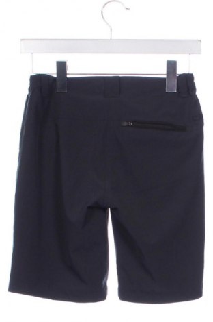 Detské krátke nohavice  CMP, Veľkosť 12-13y/ 158-164 cm, Farba Sivá, Cena  9,00 €