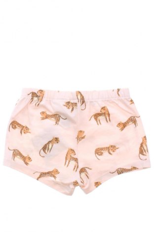 Pantaloni scurți pentru copii H&M, Mărime 6-9m/ 68-74 cm, Culoare Multicolor, Preț 28,62 Lei