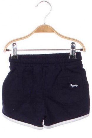Kinder Shorts Harmont & Blaine, Größe 2-3m/ 56-62 cm, Farbe Blau, Preis 20,97 €