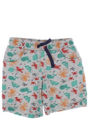 Kinder Shorts Liegelind, Größe 12-18m/ 80-86 cm, Farbe Mehrfarbig, Preis 7,00 €