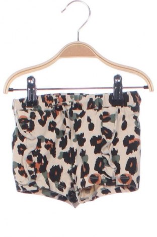 Pantaloni scurți pentru copii Prenatal, Mărime 9-12m/ 74-80 cm, Culoare Multicolor, Preț 36,84 Lei