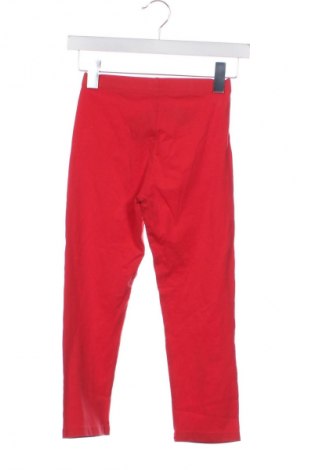 Detské legíny  Coccodrillo, Veľkosť 12-13y/ 158-164 cm, Farba Červená, Cena  13,61 €