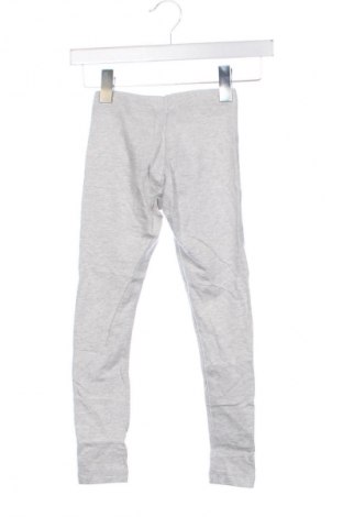 Colanți pentru copii Pepperts!, Mărime 6-7y/ 122-128 cm, Culoare Gri, Preț 27,99 Lei