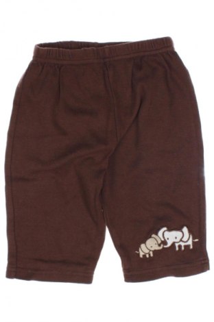 Dětské kalhoty  Unbranded, Velikost 3-6m/ 62-68 cm, Barva Hnědá, Cena  264,00 Kč