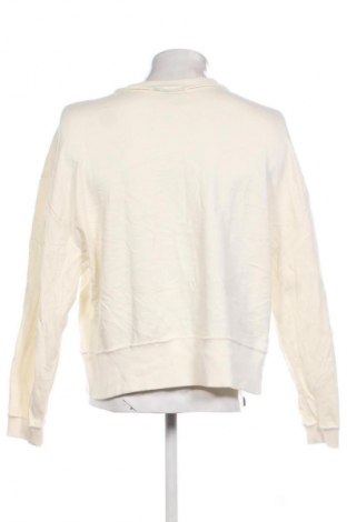 Herren Shirt ASOS, Größe L, Farbe Ecru, Preis 7,99 €