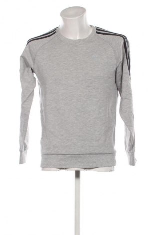 Herren Shirt Adidas, Größe S, Farbe Mehrfarbig, Preis 28,99 €