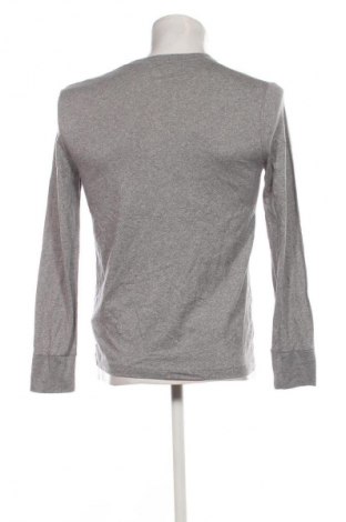 Herren Shirt Hollister, Größe S, Farbe Grau, Preis 17,99 €