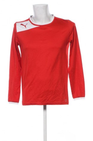 Herren Shirt PUMA, Größe M, Farbe Rot, Preis 11,99 €