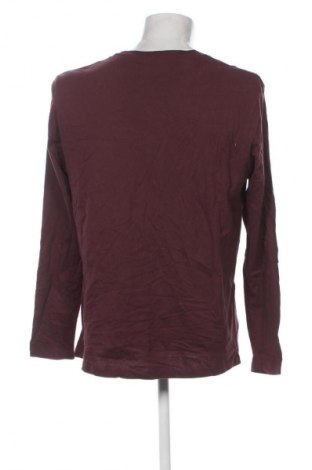 Herren Shirt Tom Tailor, Größe XXL, Farbe Mehrfarbig, Preis € 34,99