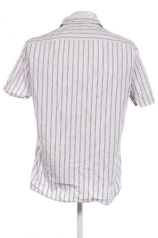 Herrenhemd Esprit, Größe L, Farbe Mehrfarbig, Preis 37,99 €