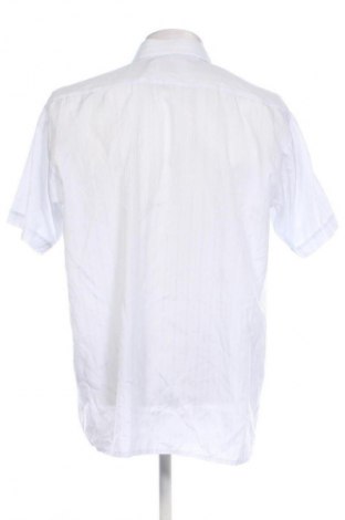 Herrenhemd Unbranded, Größe L, Farbe Mehrfarbig, Preis 11,99 €
