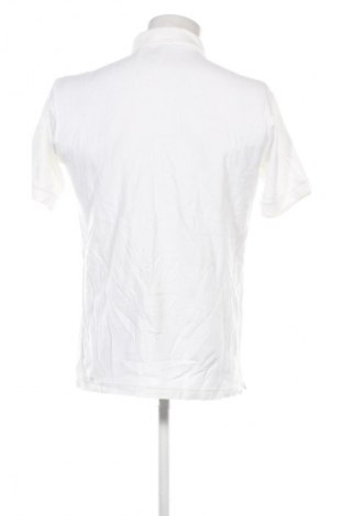 Herren T-Shirt FILA, Größe L, Farbe Weiß, Preis 13,99 €