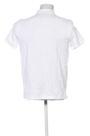 Herren T-Shirt Gant, Größe M, Farbe Weiß, Preis € 86,99