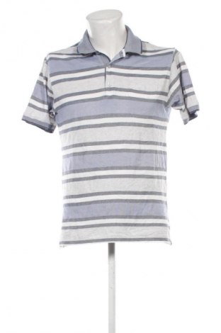 Herren T-Shirt Il Granchio, Größe L, Farbe Mehrfarbig, Preis 13,99 €