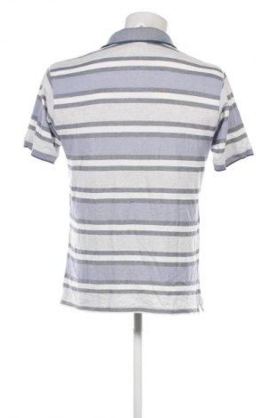 Herren T-Shirt Il Granchio, Größe L, Farbe Mehrfarbig, Preis 13,99 €