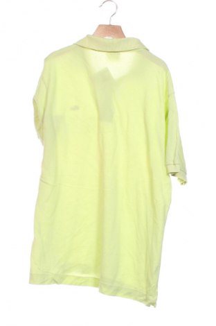 Herren T-Shirt Lacoste, Größe XS, Farbe Grün, Preis 33,99 €