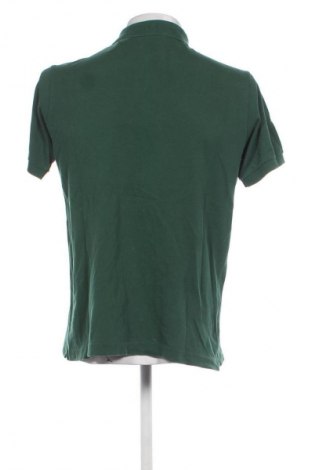 Herren T-Shirt Lacoste, Größe L, Farbe Grün, Preis 28,18 €