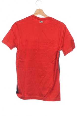 Herren T-Shirt Lacoste, Größe XS, Farbe Mehrfarbig, Preis 28,99 €