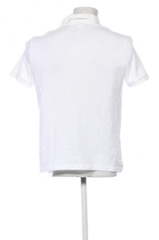 Herren T-Shirt Lacoste, Größe L, Farbe Ecru, Preis 45,99 €