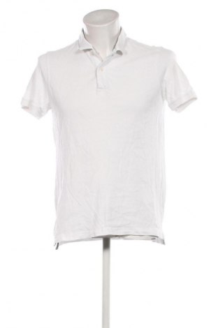 Herren T-Shirt Massimo Dutti, Größe L, Farbe Weiß, Preis 24,48 €