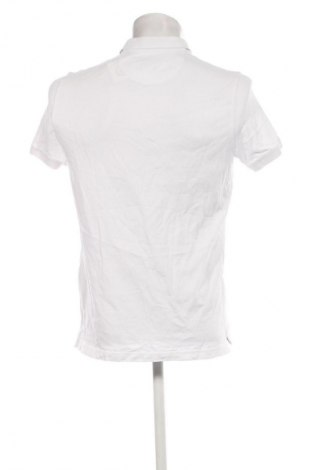 Herren T-Shirt Massimo Dutti, Größe L, Farbe Weiß, Preis 24,48 €