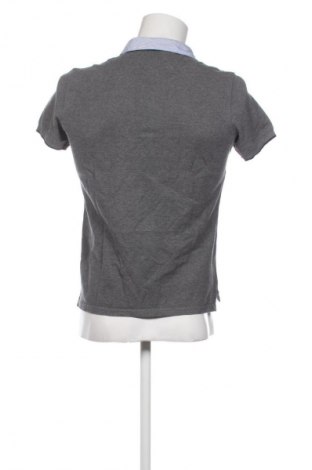 Herren T-Shirt Massimo Dutti, Größe S, Farbe Grau, Preis € 33,99