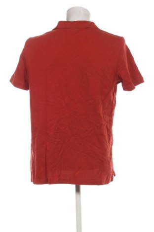 Herren T-Shirt McNeal, Größe XL, Farbe Braun, Preis 5,99 €