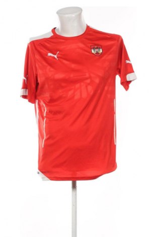 Herren T-Shirt PUMA, Größe L, Farbe Mehrfarbig, Preis 18,99 €