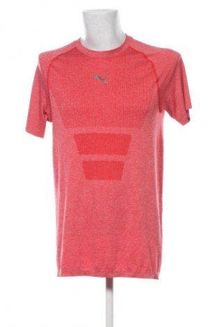 Herren T-Shirt PUMA, Größe L, Farbe Mehrfarbig, Preis 13,80 €