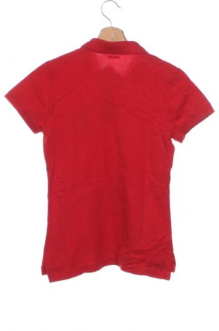 Herren T-Shirt Polo By Ralph Lauren, Größe XS, Farbe Rot, Preis 51,99 €