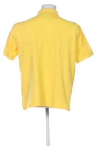 Herren T-Shirt Tommy Hilfiger, Größe XL, Farbe Mehrfarbig, Preis 34,78 €