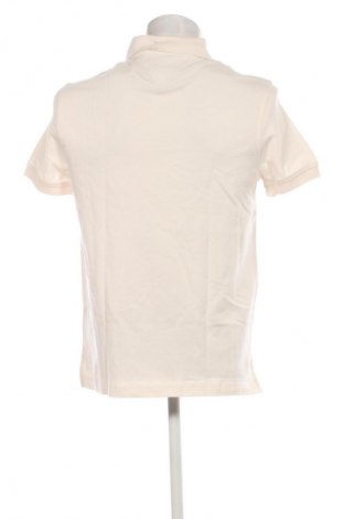Herren T-Shirt Tommy Hilfiger, Größe M, Farbe Ecru, Preis 92,99 €