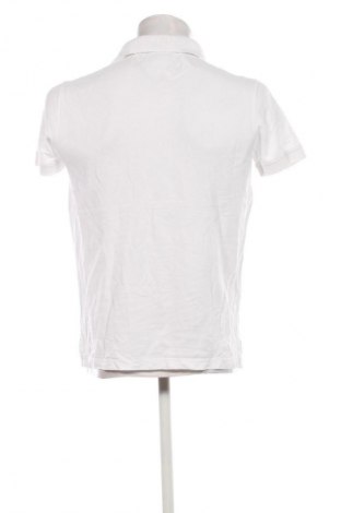 Herren T-Shirt Tommy Hilfiger, Größe S, Farbe Weiß, Preis 42,99 €