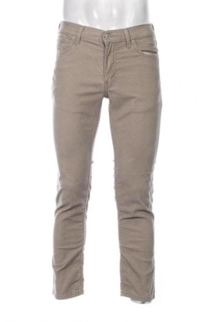 Herren Cordhose Signature By Levi Strauss & Co, Größe S, Farbe Beige, Preis 19,95 €