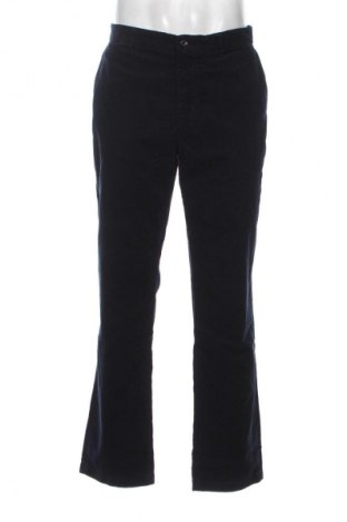 Herren Cordhose Tommy Hilfiger, Größe XL, Farbe Blau, Preis € 57,99
