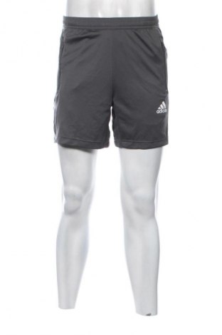 Herren Shorts Adidas, Größe S, Farbe Mehrfarbig, Preis € 53,99
